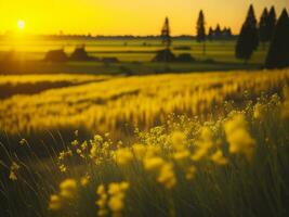 ai generiert abstrakt Sanft Fokus Sonnenuntergang Feld Landschaft von Gelb Blumen und Gras Wiese warm golden Stunde Sonnenuntergang Sonnenaufgang Zeit. still Frühling Sommer- Natur Nahansicht und verschwommen Wald Hintergrund. foto