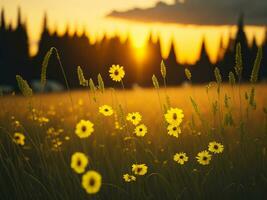 ai generiert abstrakt Sanft Fokus Sonnenuntergang Feld Landschaft von Gelb Blumen und Gras Wiese warm golden Stunde Sonnenuntergang Sonnenaufgang Zeit. still Frühling Sommer- Natur Nahansicht und verschwommen Wald Hintergrund. foto