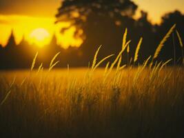 ai generiert abstrakt Sanft Fokus Sonnenuntergang Feld Landschaft von Gelb Blumen und Gras Wiese warm golden Stunde Sonnenuntergang Sonnenaufgang Zeit. still Frühling Sommer- Natur Nahansicht und verschwommen Wald Hintergrund. foto