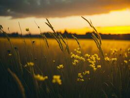 ai generiert abstrakt Sanft Fokus Sonnenuntergang Feld Landschaft von Gelb Blumen und Gras Wiese warm golden Stunde Sonnenuntergang Sonnenaufgang Zeit. still Frühling Sommer- Natur Nahansicht und verschwommen Wald Hintergrund. foto