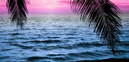 Palme am Meeresstrand bei Sonnenuntergang eines wunderschönen tropischen Strandes auf Himmelshintergrund foto
