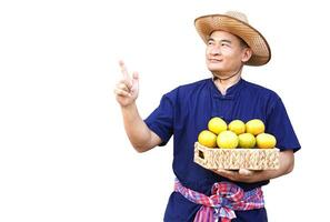 gut aussehend asiatisch Mann Farmer trägt Hut, Blau Shirt, hält Korb von organisch Orange Früchte, Punkt Finger hoch, isoliert auf Weiß Hintergrund. Konzept, Landwirtschaft Beruf, produzieren Pflanzen zu Markt. foto