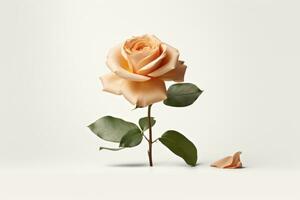 ai generiert ein Single Rose mit Blätter auf ein Weiß Hintergrund, ai foto