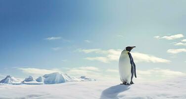 ai generiert Pinguin Stehen im Antarktis suchen in das Blau Himmel. ai generiert foto