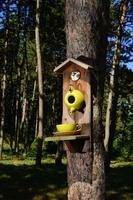 ein Vogelhäuschen in Form einer Teekanne und einer Tasse. Das Futterhäuschen ist an einem Baum im Park installiert. Wildvogelpflege, Haus und Nahrung. Vogelnest im Frühling foto