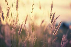 ai generiert wild Gras im das Wald beim Sonnenuntergang. abstrakt Sommer- Natur Hintergrund. generativ ai foto