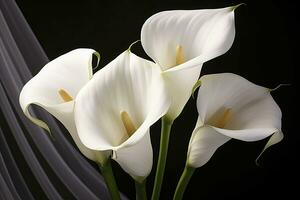 ai generiert Weiß Hochzeit Natur Lilie Schönheit blühen Pflanze Blume Flora Calla. ai generiert foto