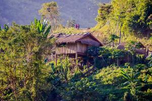 ein Hütte auf ein Hang mit Bäume und Vegetation foto