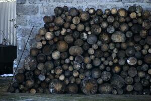 gesägt Protokolle gelegt gegen das Mauer. Brennholz zum Anzündholz. gesägt Kiefer Holz. foto