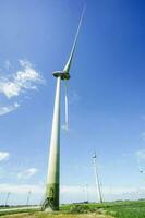 Wind Turbinen im das Feld foto