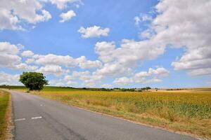 ein Land Straße mit ein Feld von Sonnenblumen und ein Blau Himmel foto