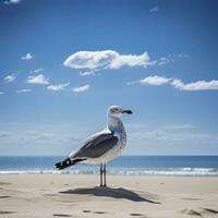 ai generiert Möwe auf das Strand unter Blau Himmel. foto