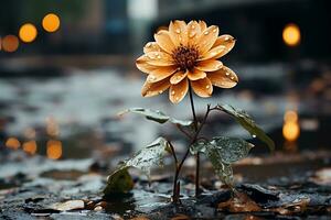 ai generiert ein Blume im das Regen ai generiert foto