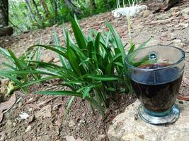 Glas von Kaffee auf Pflanze Hintergrund foto