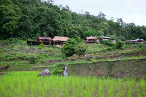 lokal Hütte und Gastfamilie Dorf auf terrassiert Paddy Reis Felder auf Berg im das Landschaft, Chiangmai Provinz von Thailand. Reise im Grün tropisch regnerisch Jahreszeit Konzept foto