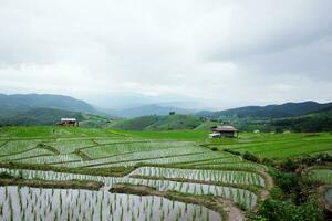 lokal Hütte und Gastfamilie Dorf auf terrassiert Paddy Reis Felder auf Berg im das Landschaft, Chiangmai Provinz von Thailand. Reise im Grün tropisch regnerisch Jahreszeit Konzept foto