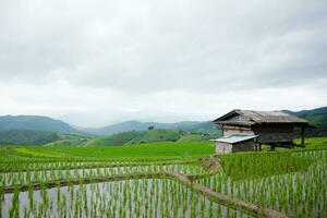 lokal Hütte und Gastfamilie Dorf auf terrassiert Paddy Reis Felder auf Berg im das Landschaft, Chiangmai Provinz von Thailand. Reise im Grün tropisch regnerisch Jahreszeit Konzept foto