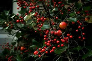 ai generiert Winter Urlaub Baum rot Beeren. generieren ai foto