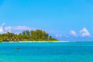 playa del carmen Quintana roo Mexiko 2023 tropisch Karibik Strand klar Türkis Wasser playa del carmen Mexiko. foto