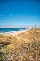 Natur beim das dänisch Norden Meer Küste foto