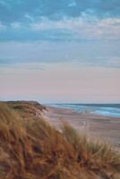 breit Sand Strand beim das dänisch Norden Meer Küste foto