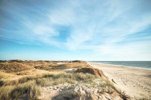 Dünen beim das Norden Meer Küste beim Beste Sommer- Wetter foto