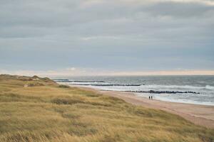 breit Dünen und Sand Strand beim das dänisch Norden Meer Küste foto