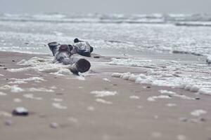 Drift Holz beim das Strand auf wolkig Tag foto