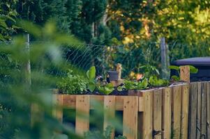 provisorisch angehoben Bett im Garten foto