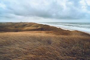 endlos Düne Landschaft im Western Dänemark foto