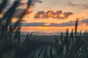 warm Sonnenuntergang beim das Küste im Nord Dänemark foto