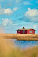 rot Hütte beim das Meer im Dänemark foto