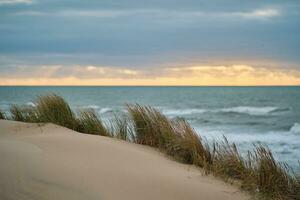 Düne beim das dänisch Küste mit das Norden Meer im das Hintergrund foto