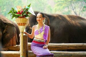 Porträt von schön ländlich thailändisch Frau tragen thailändisch Nord traditionell Kleid Schauspielkunst zum Foto schießen mit asiatisch Elefant auf verschwommen Hintergrund.