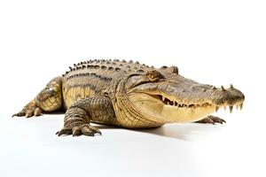 ai generiert wild Krokodil Clip Art foto