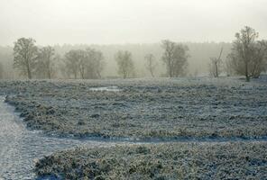 nach das Schnee hat gefallen auf ein Berg Fahrrad durch das Fischbeker heide Natur Reservieren in der Nähe von Hamburg foto