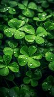 ai generiert Grün Kleeblatt Blätter mit Tropfen von Wasser. st. Patrick's Tag generiert mit ai foto