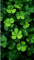 ai generiert Grün Kleeblatt Blätter mit Tropfen von Wasser. st. Patrick's Tag generiert mit ai foto