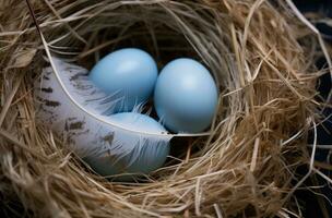 ai generiert zwei Eier mit Gefieder im ein Nest, foto