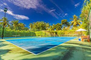 tolle Sport und Freizeit Hintergrund wie Tennis Gericht auf tropisch Landschaft, Palme Bäume und Blau Himmel. Sport im tropisch Konzept foto