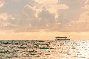 Malediven Sonnenuntergang Kreuzfahrt mit dhoni Boot im Malediven Inseln. tropisch Meer Sonnenuntergang, Meereslandschaft. Menschen genießen das Sonnenuntergang und suchen zum Marine Leben, Tier Tierwelt. Sommer- Ferien Urlaub foto