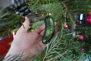 schöne grüne Tannenzweig und Frauenhand mit versteckter Glasgurkendekoration. Weihnachtsbaum und festliches Detail. foto