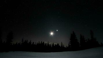 Mond und Sterne im das Nacht Himmel Über das Wald im Winter foto