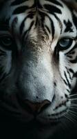 ai generiert Nahansicht Weiß Tiger Auge, Porträt von Tier auf dunkel Hintergrund. ai generiert foto