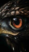 ai generiert Nahansicht Falke Auge, Porträt von Tier auf dunkel Hintergrund. ai generiert foto
