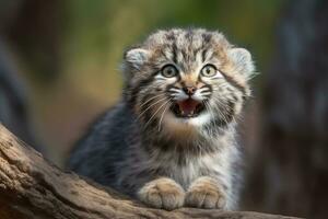 ai generiert manul Jungtier im Natur auf Sommer- Wald Hintergrund. Nahansicht Tier Porträt. ai generiert foto