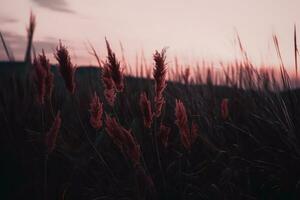 ai generiert Wildblumen dunkel launisch romantisch Hintergrund. Nahansicht Blumen- Banner. ai generiert foto