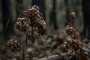 ai generiert getrocknet Blumen im das Wald Nahansicht. Herbst Hintergrund foto