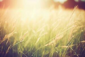 ai generiert Sommer- Wiese Landschaft. ai generiert foto