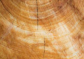 ein schön Holz Muster Hintergrund Das können Sein benutzt zum ein Vielfalt von Zwecke. foto